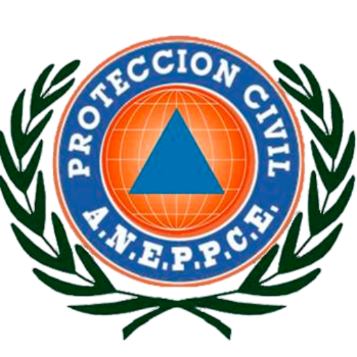 Registro de la solicitud de regulación profesional